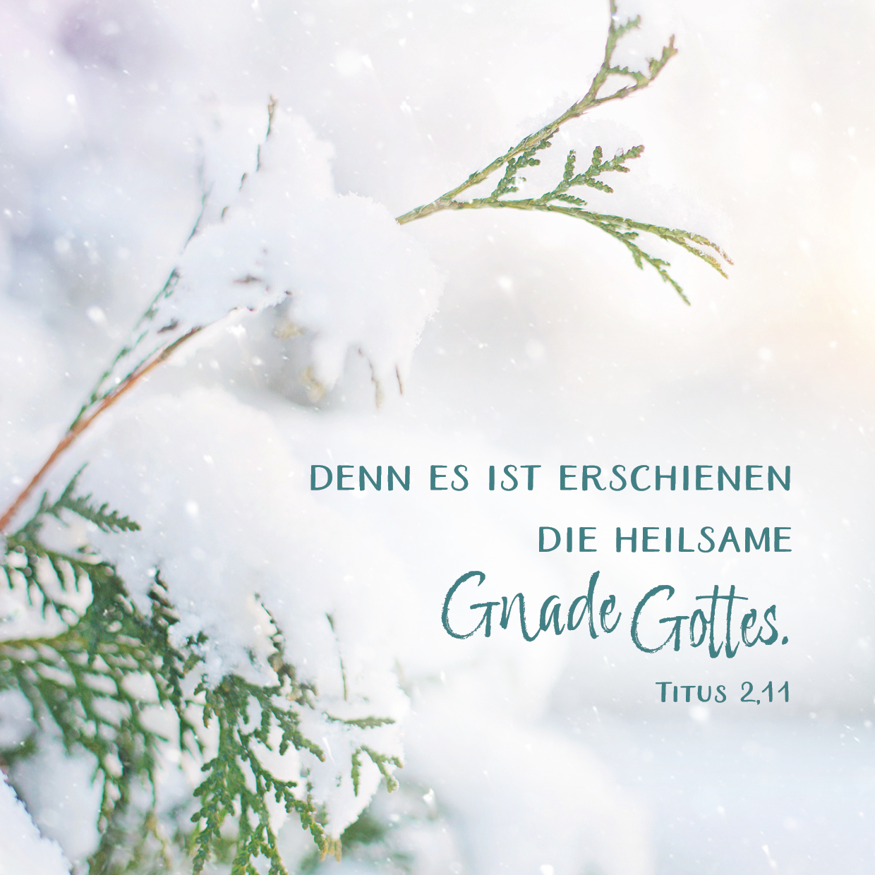 Quadratische Postkarte – Schnee